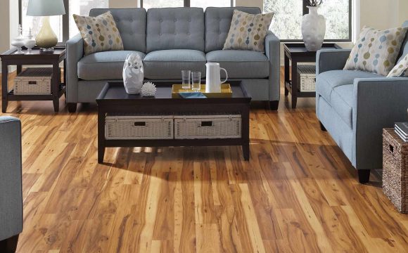 Your Options Of Timber Flooring, It’s Pricing, Pros, And Cons