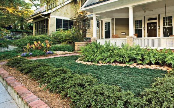 Landscaping tips for your Texas home