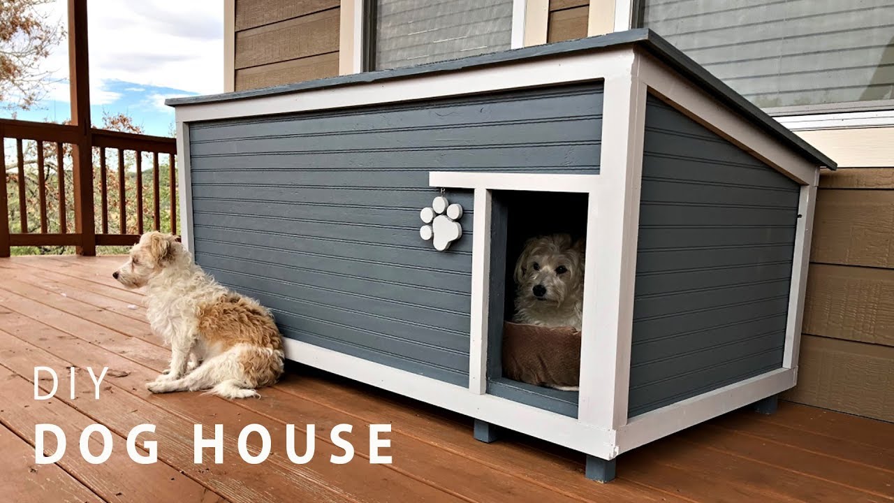 Wooden or plastic kennel: what to choose for my dog