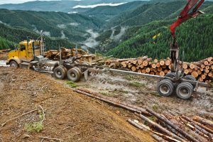 A Three Point Guide To The Lumber Industry
