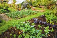 Tips for Managing a Large Garden