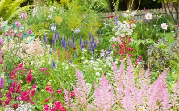 Tips for Styling an Eco-friendly Garden