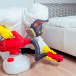 Pest Control Companies - Know Exactly How You Can Benefit By Hiring a Reputed One