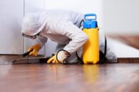 PEST CONTROL IN RENTED HOMES: WHO IS RESPONSIBLE?