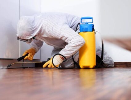 PEST CONTROL IN RENTED HOMES: WHO IS RESPONSIBLE?